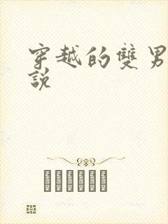 穿越的双男主小说