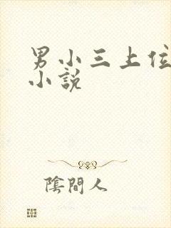 男小三上位记 小说