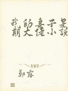 我的妻子是大乘期大佬小说版