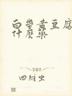 白带黄豆腐渣用什么药