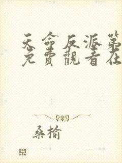 天命反派第三季免费观看在线播放