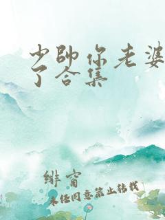 少帅你老婆又跑了合集