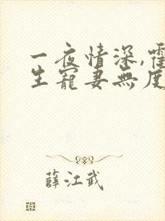 一夜情深,霍先生宠妻无度网络小说