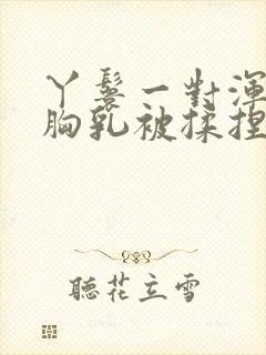 丫鬟一对浑圆的胸乳被揉捏