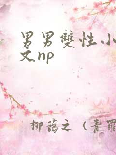 男男双性小说短文np