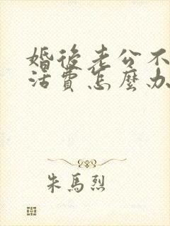 婚后老公不给生活费怎么办