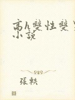 高h双性双男主小说