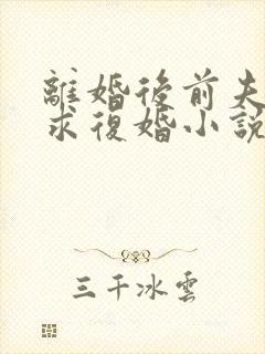 离婚后前夫哭着求复婚小说阅读全部