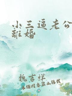 小三逼老公跟我离婚