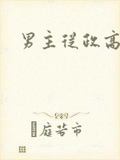 男主从政高干文