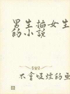 男生插女生肛门的小说