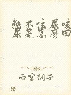 憋不住尿咳嗽漏尿是怎么回事