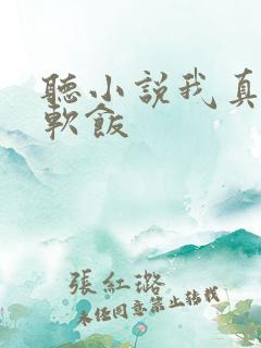 听小说我真没吃软饭