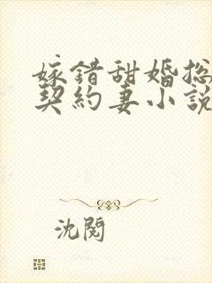 嫁错甜婚总裁的契约妻小说