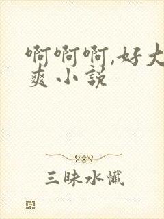 啊啊啊,好大好爽小说