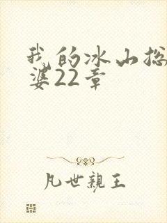 我的冰山总裁老婆22章