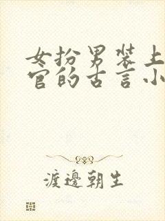 女扮男装上朝为官的古言小说