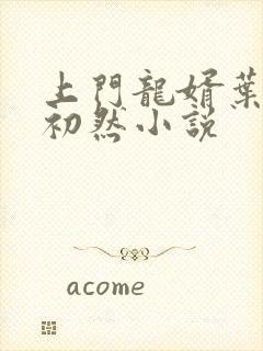 上门龙婿叶辰萧初然小说