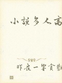 小说多人高h