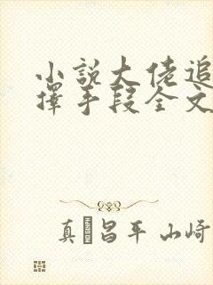 小说大佬追妻不择手段全文阅读