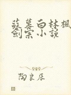 苏慕白林枫神霄剑宗小说