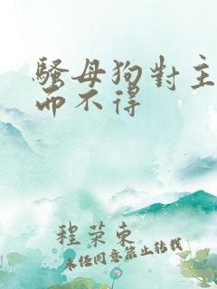 骚母狗对主人求而不得