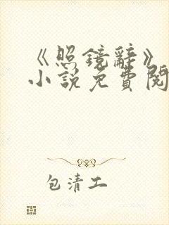 《照镜辞》原著小说免费阅读