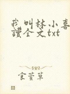 我叫林小喜全阅读全文txt