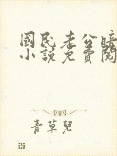 国民老公暗恋我小说免费阅读