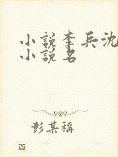 小说李兵沈思的小说名