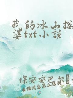 我的冰山总裁老婆txt小说