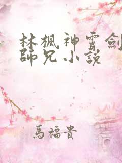 林枫神霄剑宗大师兄小说