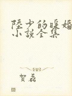 陆少的暖婚新妻小说全集
