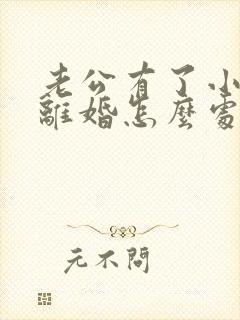 老公有了小三要离婚怎么处理