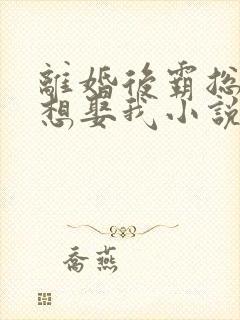 离婚后霸总天天想娶我小说全文阅读