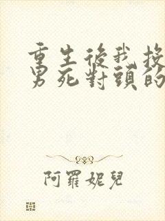 重生后我投入渣男死对头的怀抱