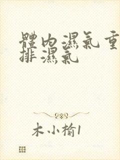 体内湿气重如何排湿气