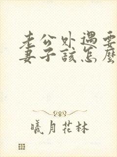 老公外遇要离婚妻子该怎么办