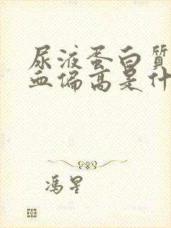 尿液蛋白质和隐血偏高是什么问题