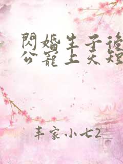 闪婚生子后被老公宠上天短剧