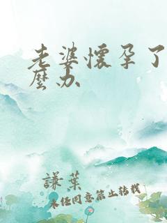 老婆怀孕了我怎么办