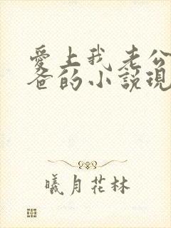 爱上我老公的爸爸的小说现言