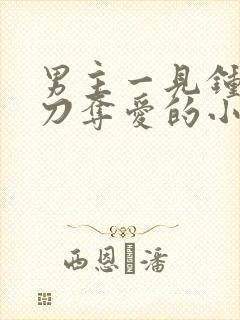 男主一见钟情横刀夺爱的小说