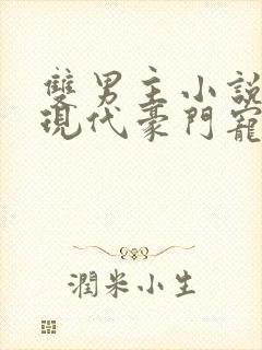 双男主小说推荐现代豪门宠文