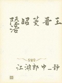 陆昭菱晋王朱明浩