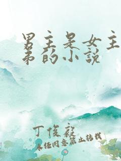 男主是女主的继弟的小说