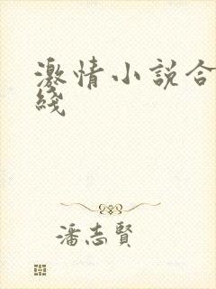 激情小说合集在线