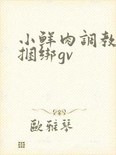 小鲜肉调教失禁捆绑gv