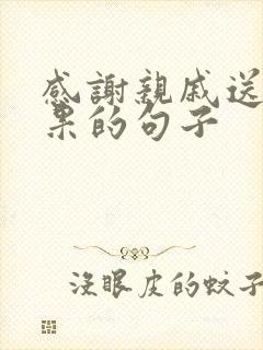 感谢亲戚送的水果的句子