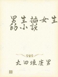 男生插女生下面的小说